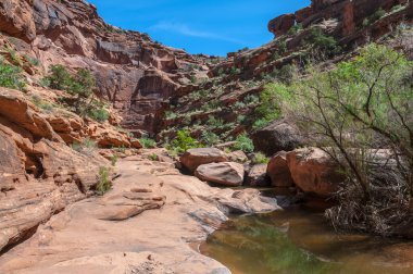 havuz su - avcı Kanyon hiking trail moab, utah