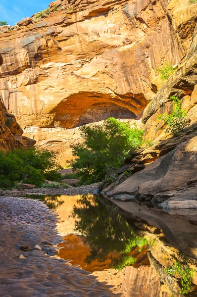 Odbicie w kanionie myśliwy wody turystyka szlak moab, utah — Zdjęcie stockowe