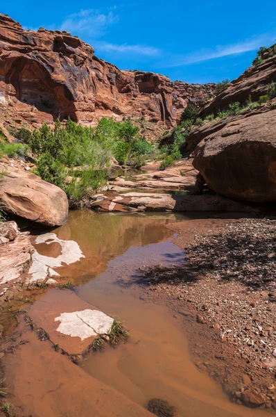 Vattenpöl - hunter canyon vandra trail moab utah — Stockfoto