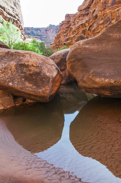 Pool of water - Hunter Canyon Hiking Trail Moab Utah — Stock Photo, Image