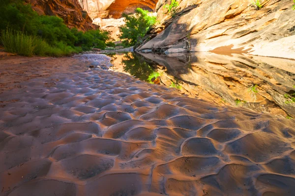 Piscina de agua - Hunter Canyon Sendero Moab Utah — Foto de Stock