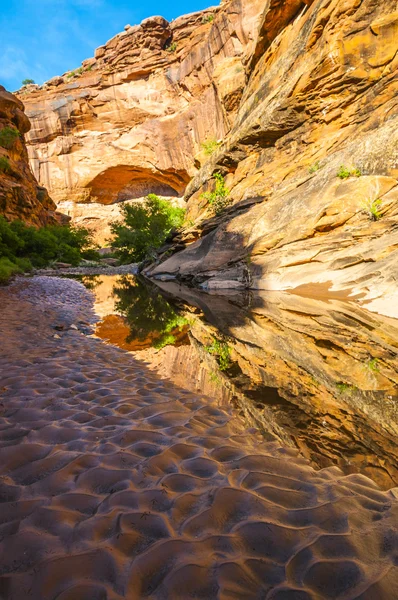 Reflexion im Wasser Jäger Canyon Wanderweg moab utah — Stockfoto