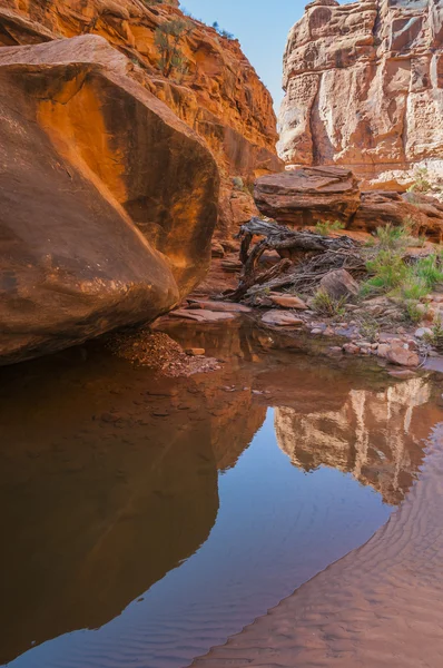 Vattenpöl - hunter canyon vandra trail moab utah — Stockfoto