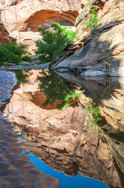 Pool of water - Hunter Canyon Hiking Trail Moab Utah — Stock Photo, Image