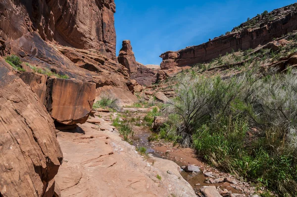 Hunter canyon vandring trail moab utah — Stockfoto