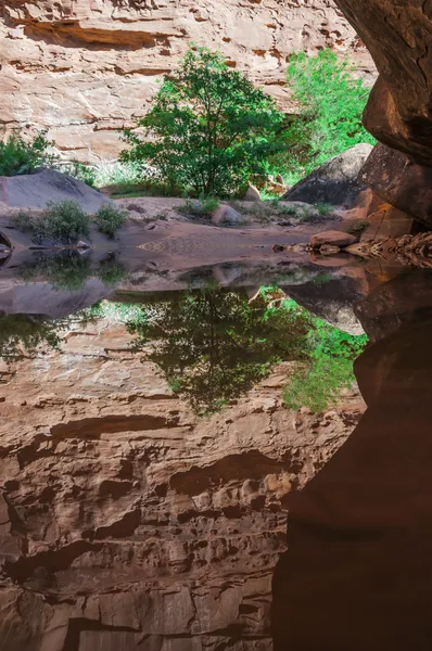 Reflexão na água - Hunter Canyon Trilha Caminhadas Moab Utah — Fotografia de Stock