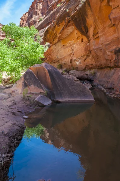 Pool of water - Hunter Canyon Hiking Trail Moab Utah — Stock Photo, Image