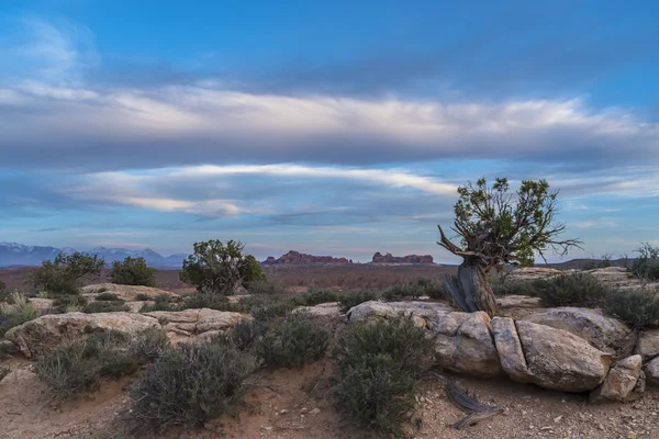 Ohnivé pece přehlédnout arches národní park — Stock fotografie