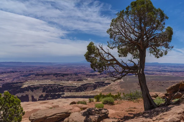 Grand View Point Overlook — Stock Photo, Image