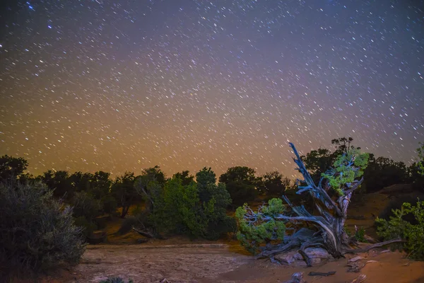 夜の砂漠の風景 — ストック写真