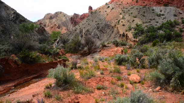 Cebola creek moab utah — Vídeo de Stock