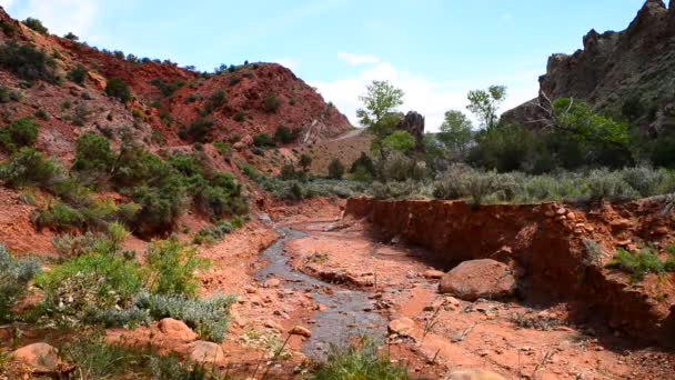 Κρεμμύδι creek moab Γιούτα — Αρχείο Βίντεο