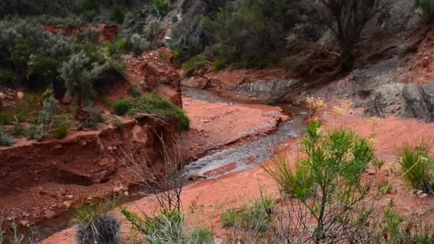 Κρεμμύδι creek moab Γιούτα — Αρχείο Βίντεο