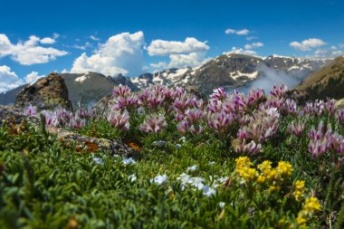 Colorado peyzaj