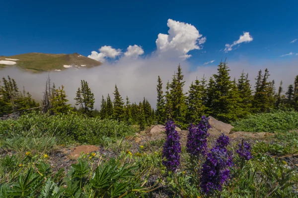 Colorado paisagem — Fotografia de Stock