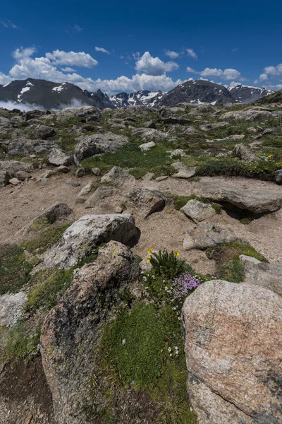 Colorado Landscape — Stock Photo, Image