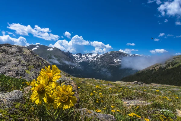 Colorado krajina — Stock fotografie