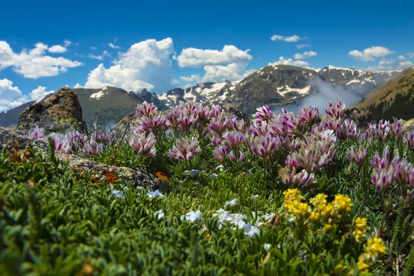 Colorado Paesaggio — Foto Stock