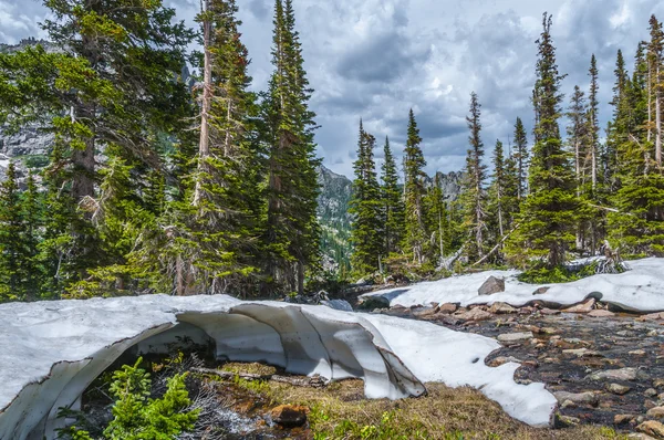 Malting snow in the rockies — Stock Photo, Image