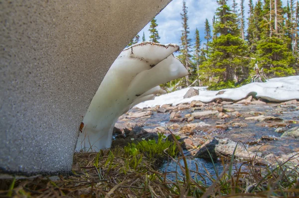 Malhar neve nos roqueiros — Fotografia de Stock