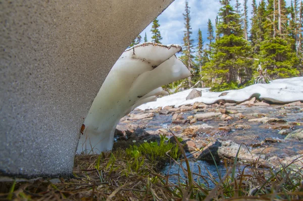 Malteando nieve en las rocas —  Fotos de Stock