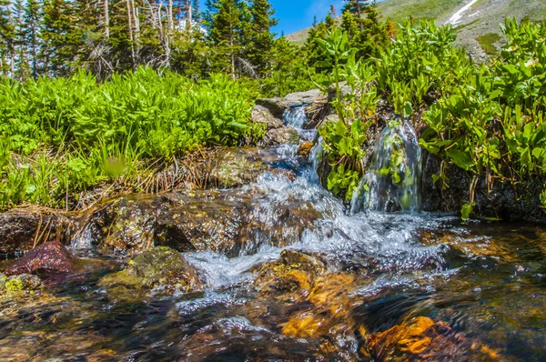 Gebirgsbach — Stockfoto