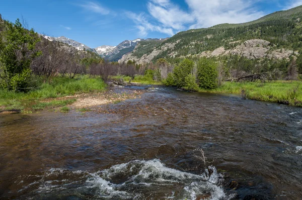 Bobří rybnících creek v rocky mountain national park colorado — Stock fotografie