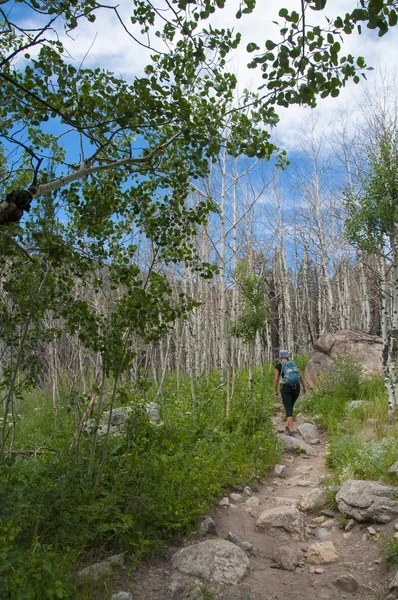 Senderista femenina en el sendero del Lago Cub en Rocky Muntain National Par —  Fotos de Stock