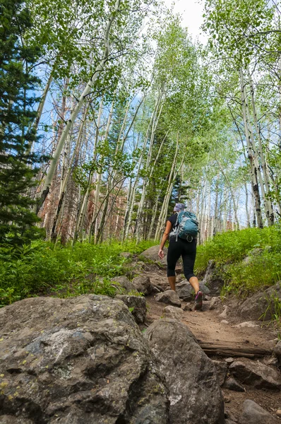 Senderista femenina en el sendero del Lago Cub en Rocky Muntain National Par — Foto de Stock