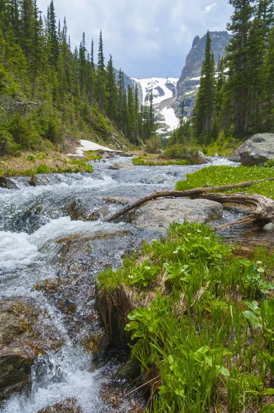 Mooie vloeiende creek met weergave van notchtop piek - rocky mount — Stockfoto