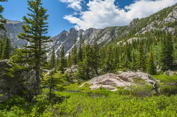 Hallett Peak and Flattop Mountain Colorado Rockies — Stock Photo, Image