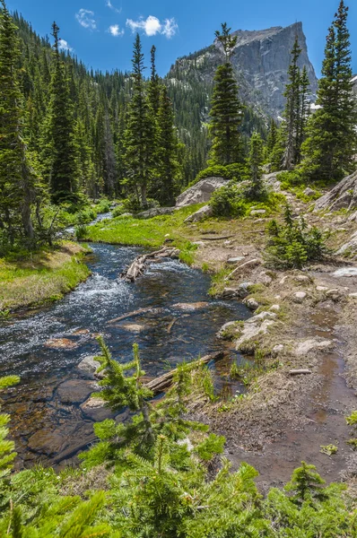 Glacier creek med hallett topp — Stockfoto