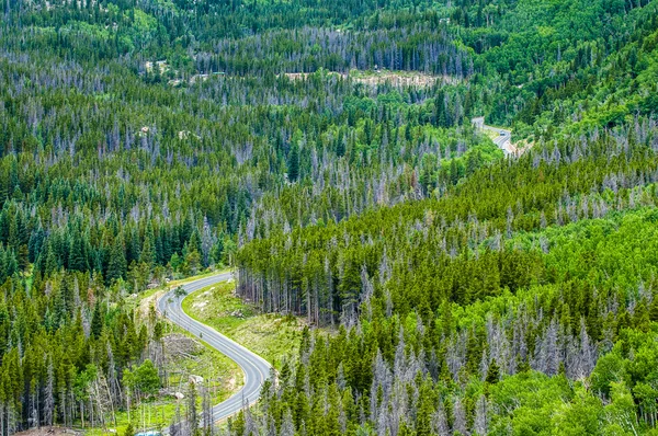 Road Through the Rockies — Stock Photo, Image
