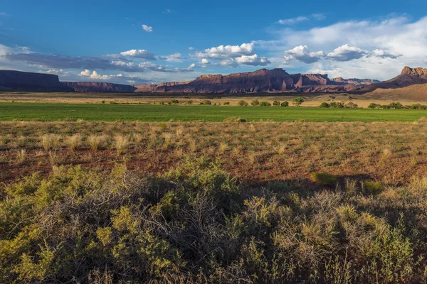 Fisher mesa üzerinden günbatımı — Stok fotoğraf