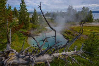 Batı başparmak Şofben Havzası yellowstone