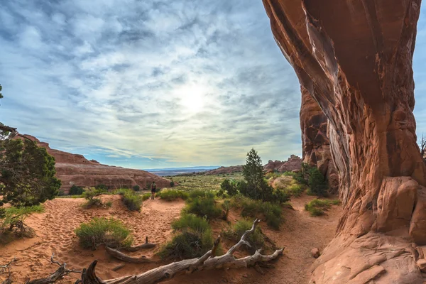 Ženské turista v pine tree arch — Stock fotografie