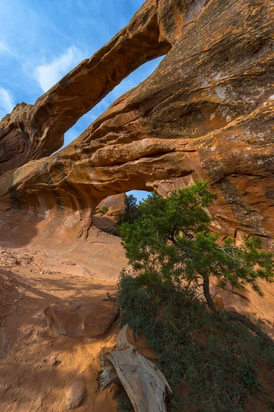 Close-up de Double O Arch — Fotografia de Stock