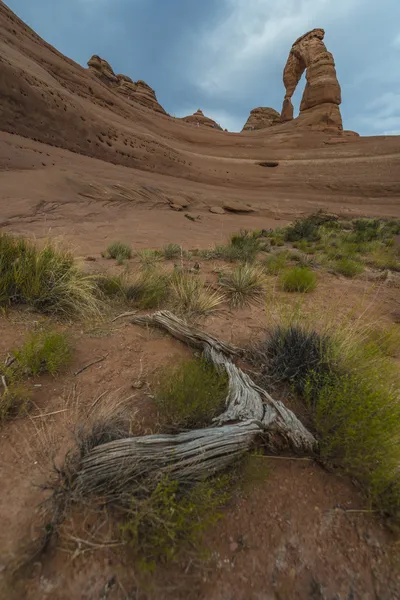 Desert Landscape Delicate Arch — Stock Photo, Image