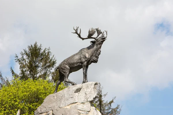 Newfoundland War Memorial Franciaország — Stock Fotó