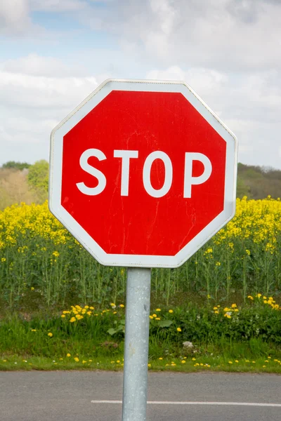 Stoppschild Stockbild