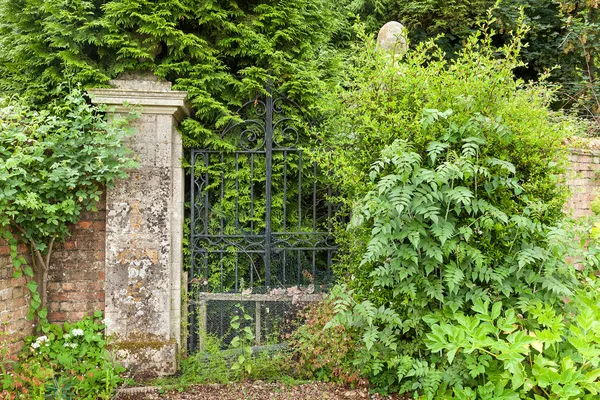 Overgrown puertas de hierro forjado negro . — Foto de Stock