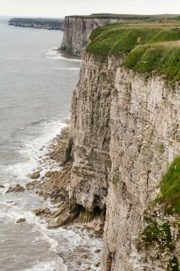 flamborough kıyı manzarasına kafa yorkshire