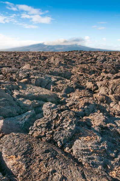 Pahoehoe vulkanisk sten galapagos. — Stockfoto