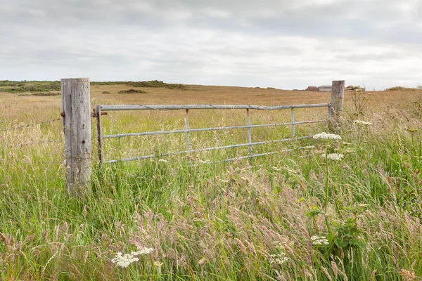 Metal field gate in a meadow — Stock Photo, Image