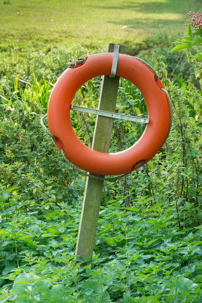 Orange life belt set in green woodland — Stock Photo, Image