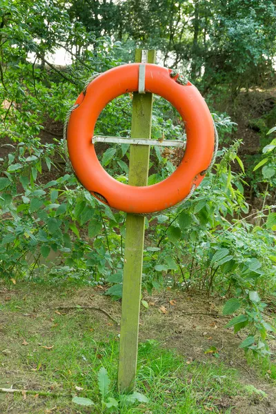 Cinturón salvavidas naranja en un bosque verde —  Fotos de Stock