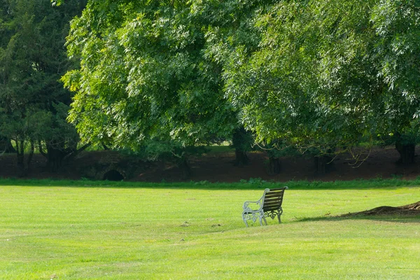 Empty bench set in wooded parkland — Stock Photo, Image