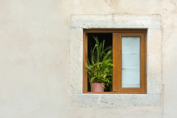 Ventana enmarcada de madera con maceta — Foto de Stock