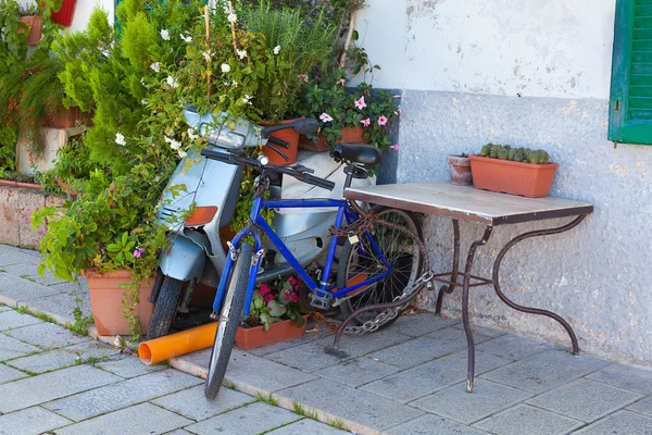 Sykkel og sparkesykkel til venstre og overvokst med busker – stockfoto