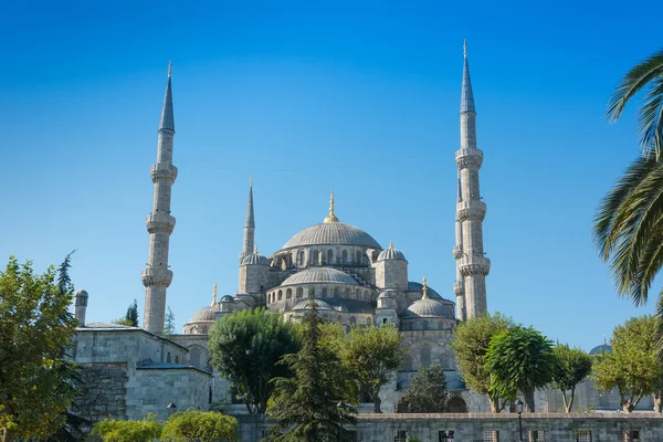 Modrá mešita v Istanbulu, Turecko — Stock fotografie